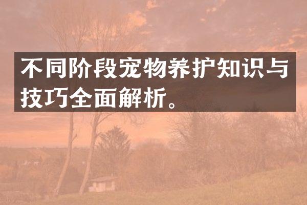 不同阶段宠物养护知识与技巧全面解析。