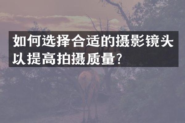 如何选择合适的摄影镜头以提高拍摄质量？