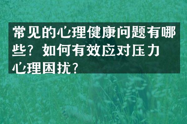 常见的心理健康问题有哪些？如何有效应对压力和心理困扰？