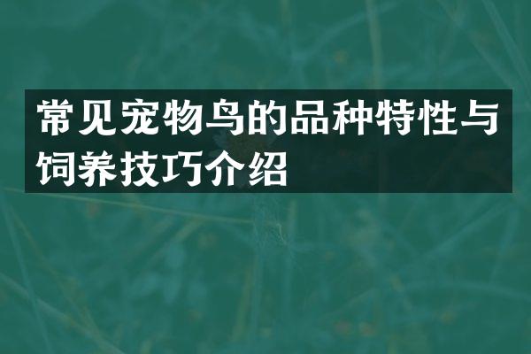 常见宠物鸟的品种特性与饲养技巧介绍