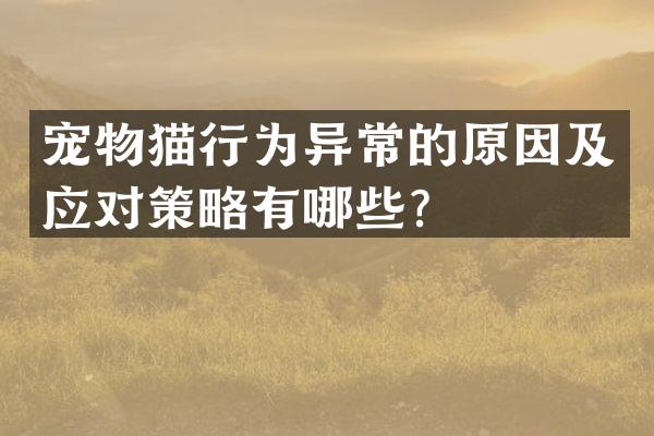 宠物猫行为异常的原因及应对策略有哪些？