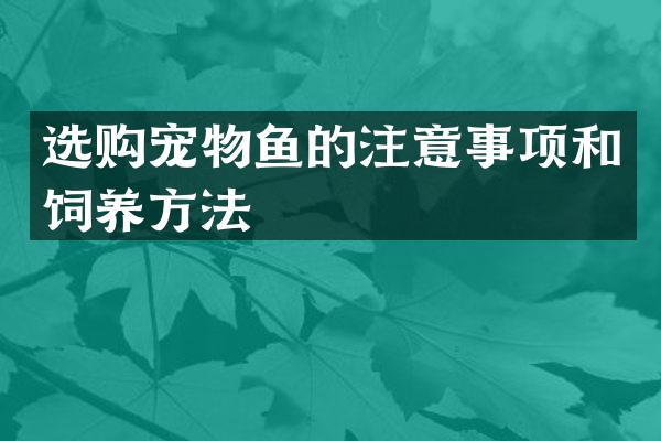 选购宠物鱼的注意事项和饲养方法