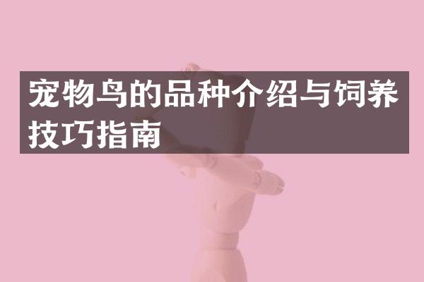 宠物鸟的品种介绍与饲养技巧指南