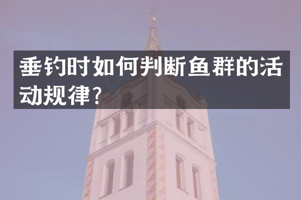垂钓时如何判断鱼群的活动规律？