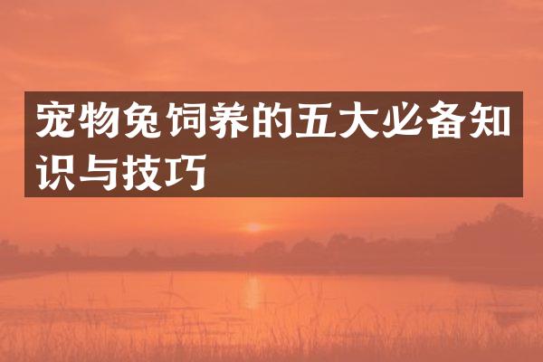 宠物兔饲养的五大必备知识与技巧