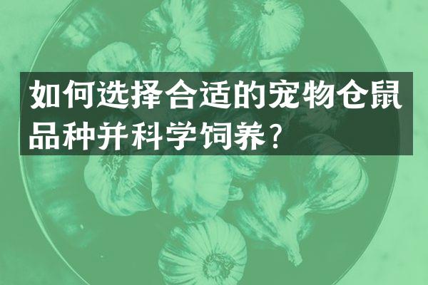 如何选择合适的宠物仓鼠品种并科学饲养？