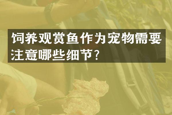 饲养观赏鱼作为宠物需要注意哪些细节？