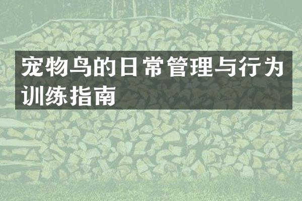 宠物鸟的日常管理与行为训练指南