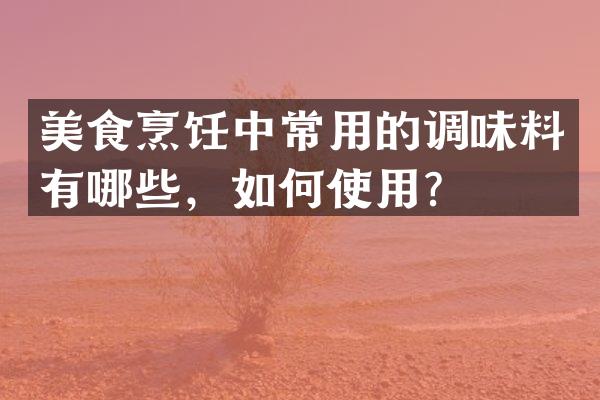 美食烹饪中常用的调味料有哪些，如何使用？