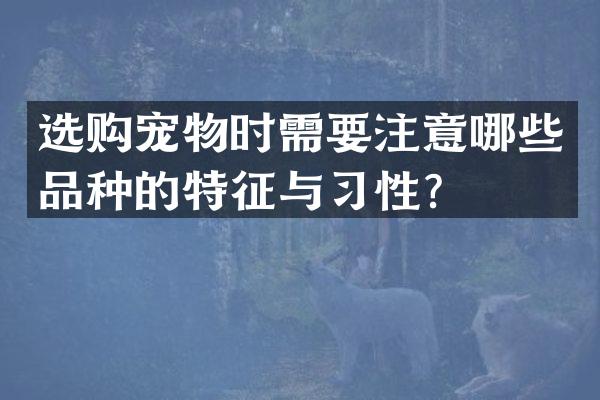 选购宠物时需要注意哪些品种的特征与习性？
