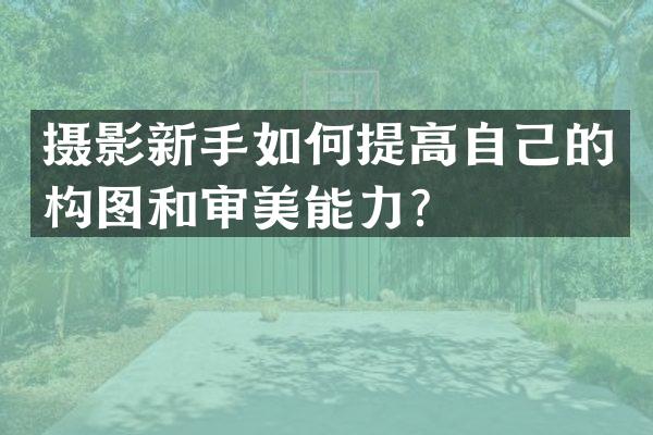 摄影新手如何提高自己的构图和审美能力？