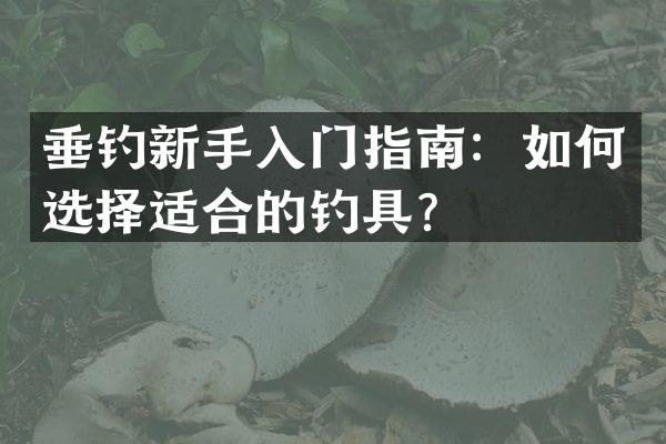 垂钓新手入门指南：如何选择适合的钓具？