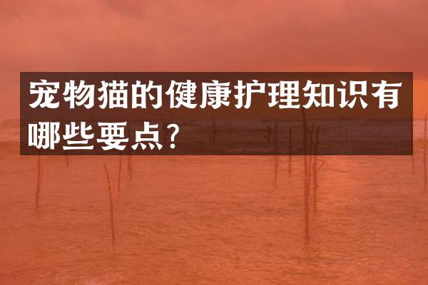 宠物猫的健康护理知识有哪些要点？