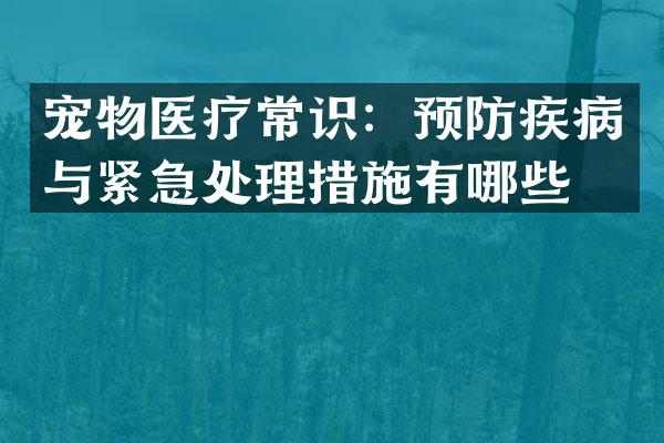 宠物医疗常识：预防疾病与紧急处理措施有哪些？