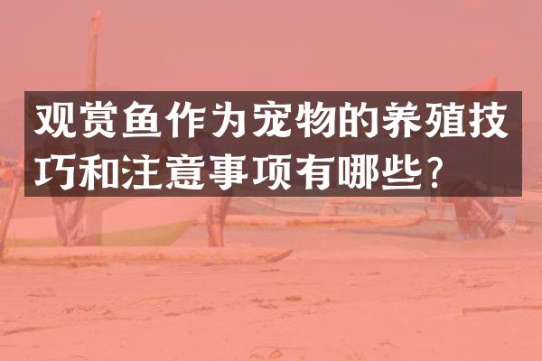 观赏鱼作为宠物的养殖技巧和注意事项有哪些？