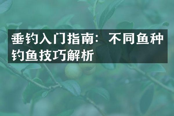 垂钓入门指南：不同鱼种钓鱼技巧解析