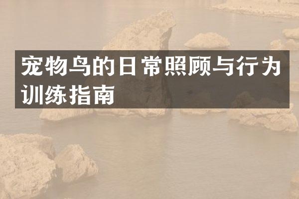 宠物鸟的日常照顾与行为训练指南
