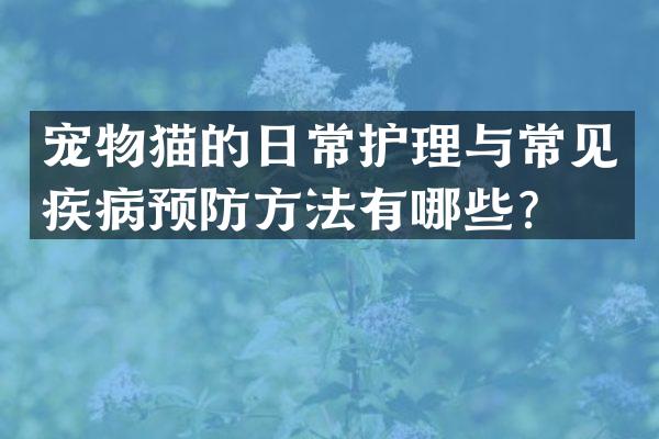 宠物猫的日常护理与常见疾病预防方法有哪些？
