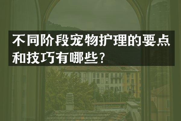 不同阶段宠物护理的要点和技巧有哪些？