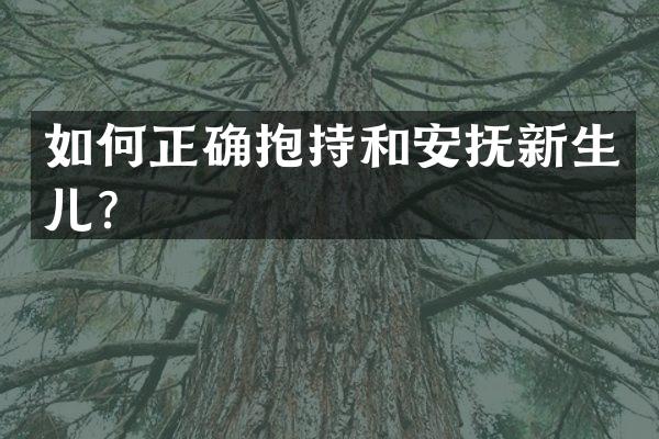 如何正确抱持和安抚新生儿？