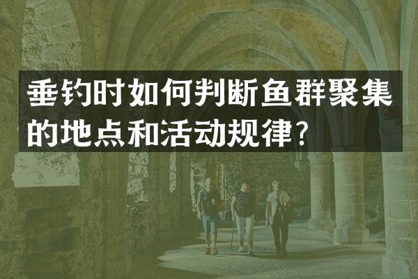 垂钓时如何判断鱼群聚集的地点和活动规律？