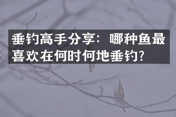 垂钓高手分享：哪种鱼最喜欢在何时何地垂钓？