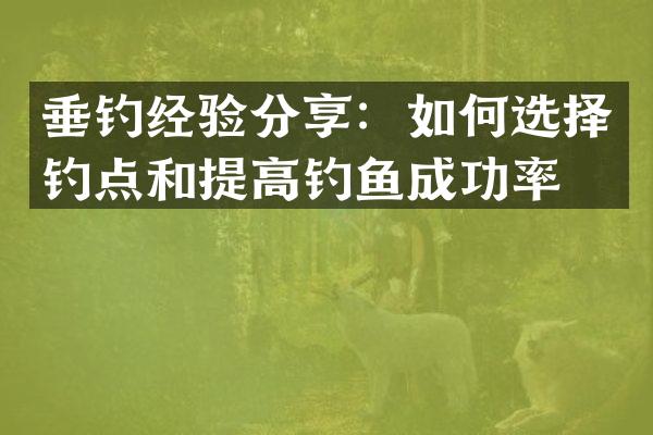 垂钓经验分享：如何选择钓点和提高钓鱼成功率？