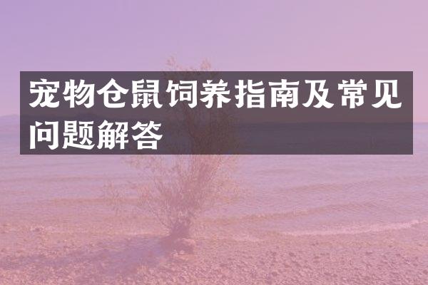 宠物仓鼠饲养指南及常见问题解答
