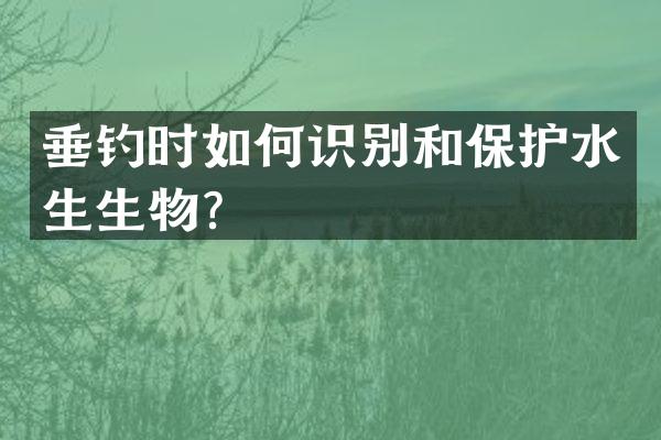 垂钓时如何识别和保护水生生物？