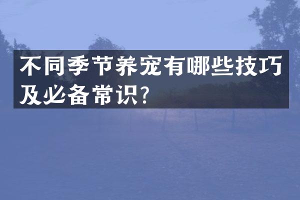 不同季节养宠有哪些技巧及必备常识？