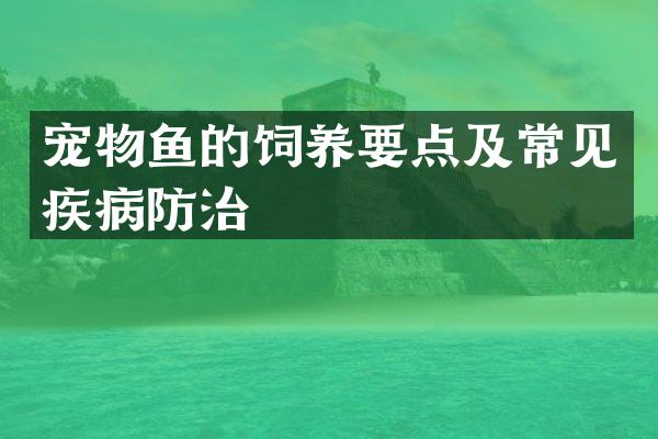 宠物鱼的饲养要点及常见疾病防治