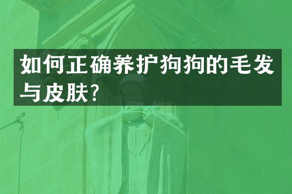 如何正确养护狗狗的毛发与皮肤？