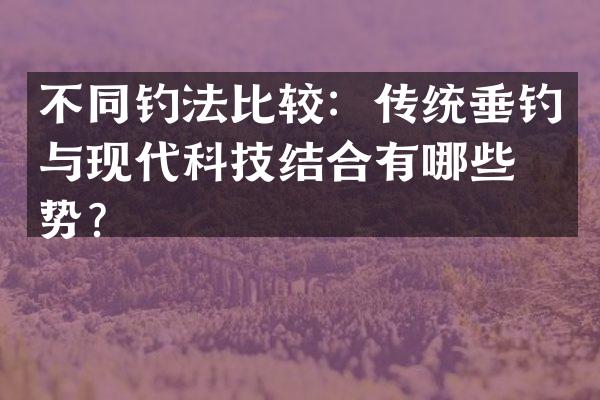 不同钓法比较：传统垂钓与现代科技结合有哪些优势？