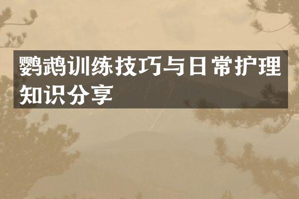 鹦鹉训练技巧与日常护理知识分享