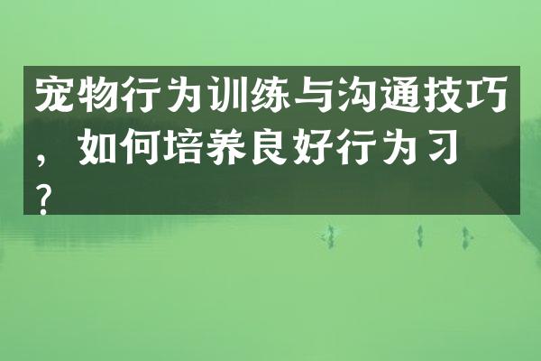 宠物行为训练与沟通技巧，如何培养良好行为习惯？