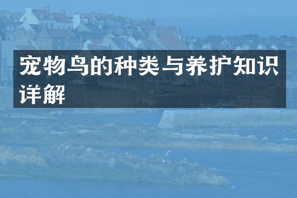 宠物鸟的种类与养护知识详解
