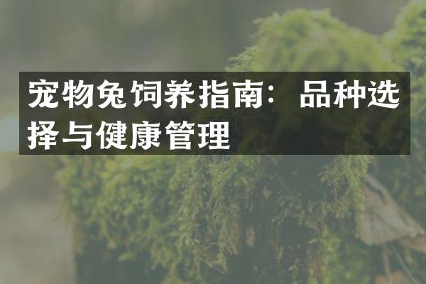宠物兔饲养指南：品种选择与健康管理