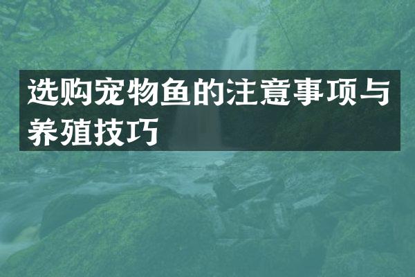 选购宠物鱼的注意事项与养殖技巧