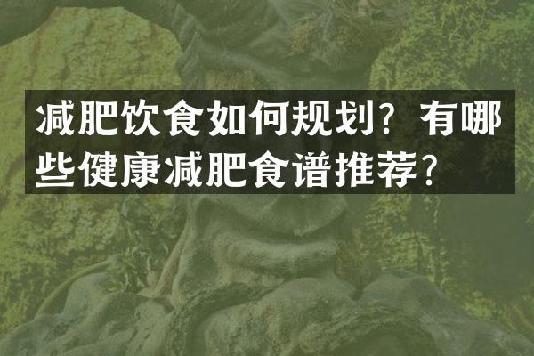 减肥饮食如何规划？有哪些健康减肥食谱推荐？