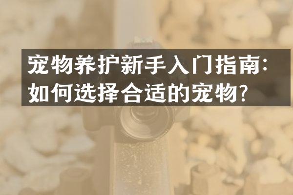 宠物养护新手入门指南：如何选择合适的宠物？
