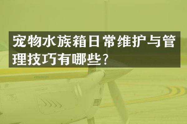 宠物水族箱日常维护与管理技巧有哪些？