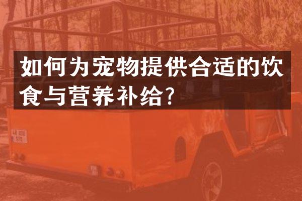 如何为宠物提供合适的饮食与营养补给？