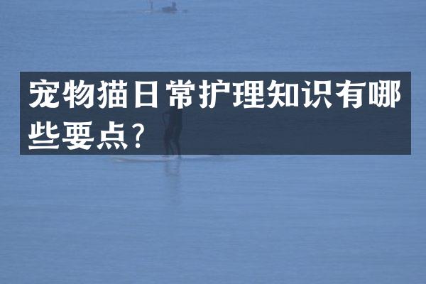 宠物猫日常护理知识有哪些要点？