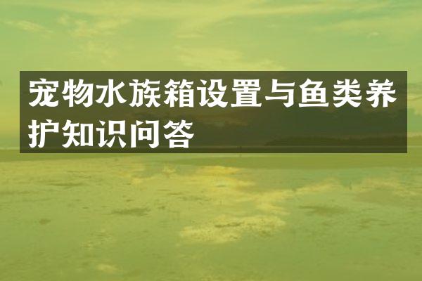 宠物水族箱设置与鱼类养护知识问答