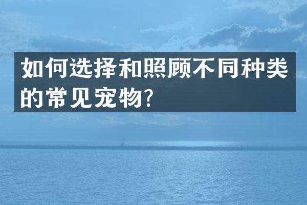 如何选择和照顾不同种类的常见宠物？