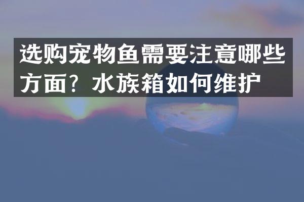 选购宠物鱼需要注意哪些方面？水族箱如何维护？