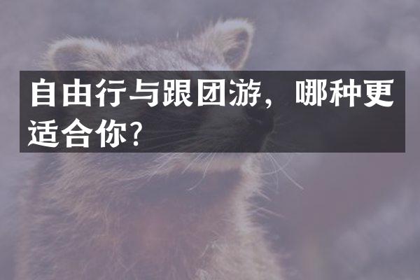 自由行与跟团游，哪种更适合你？