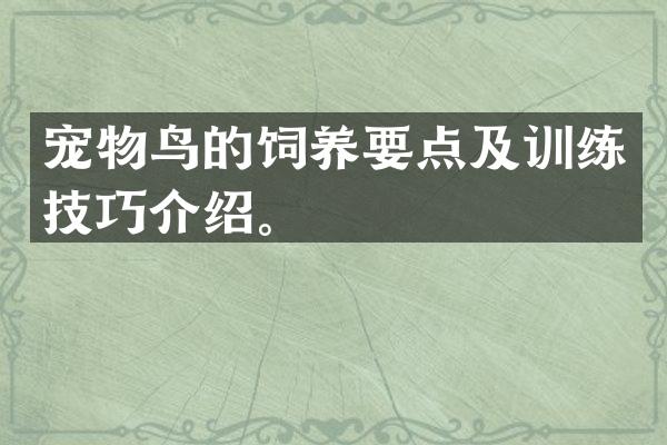 宠物鸟的饲养要点及训练技巧介绍。