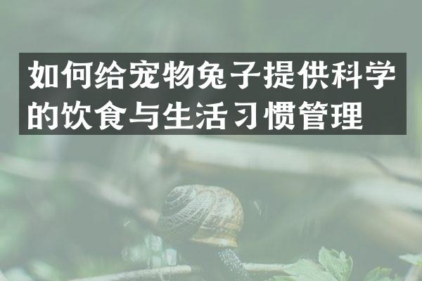如何给宠物兔子提供科学的饮食与生活习惯管理？