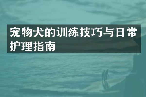 宠物犬的训练技巧与日常护理指南